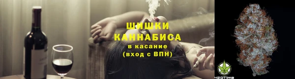 гидропоника Гусь-Хрустальный
