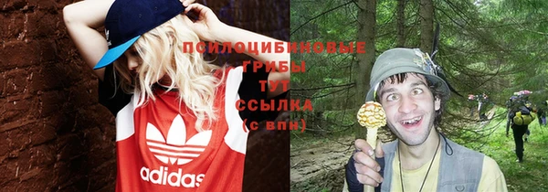 круглые Гусиноозёрск