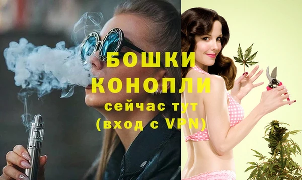 гидропоника Гусь-Хрустальный